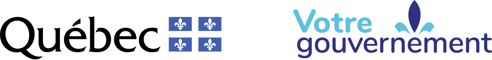 Ministère de la Santé et des Services sociaux (MSSS)