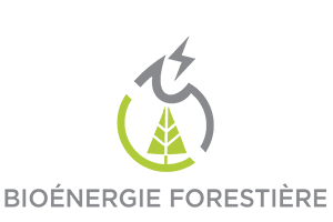 Bioénergie forestière